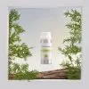 Leather Fragrance Oil