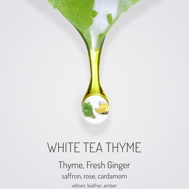 White Tea & Thyme Scent Oil Aroma Designers Scents