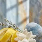 gravity fragrance oil lemon lavender ocean scent notes