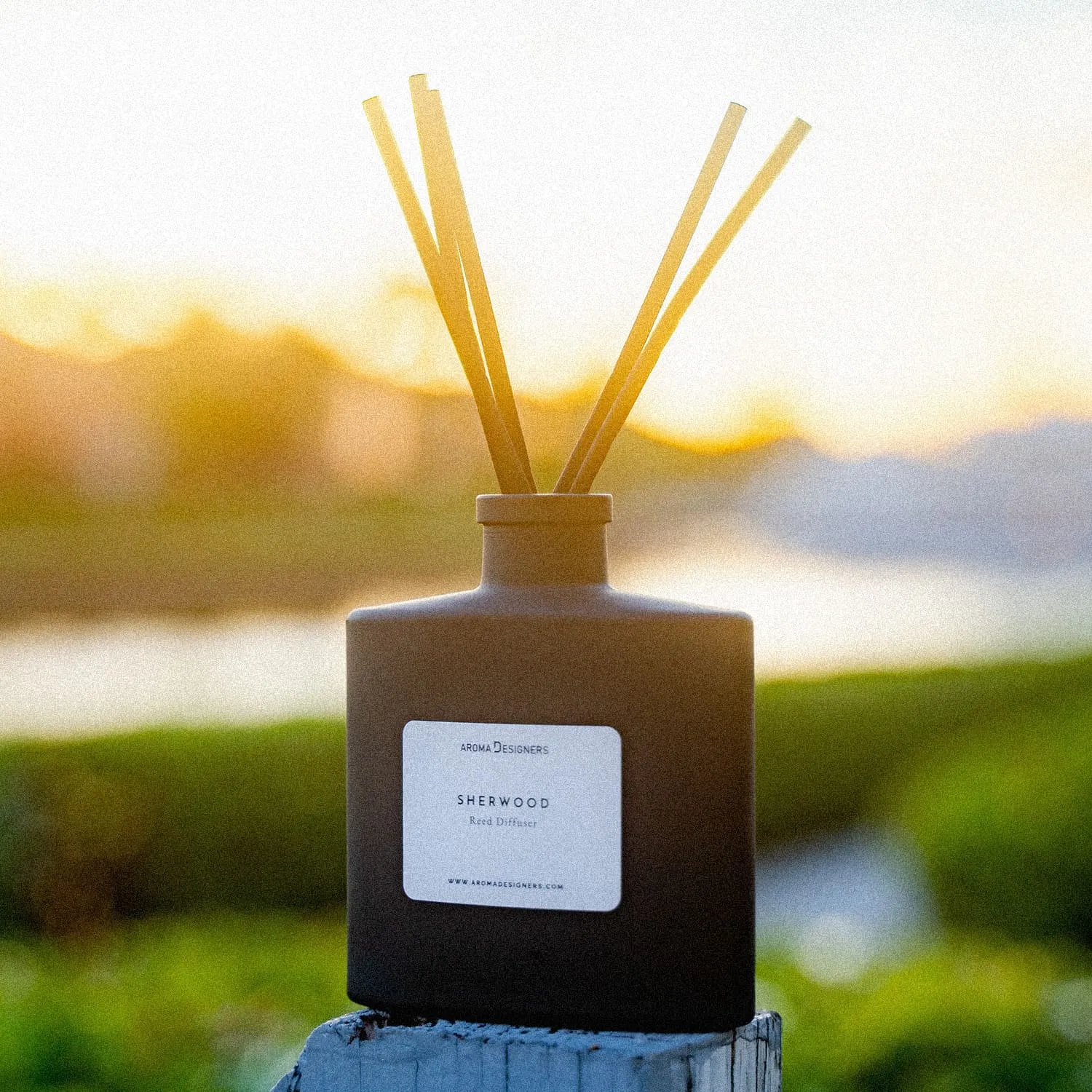 Aroma Designers Reed Diffuser (3)