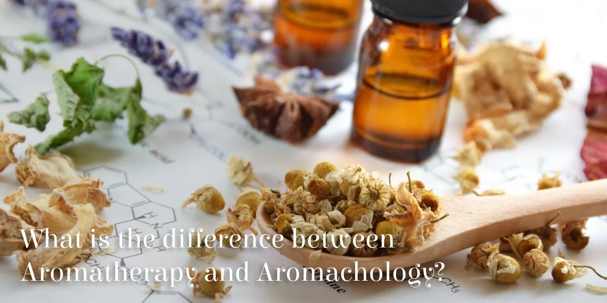 What is the difference between Aromatherapy and Aromachology