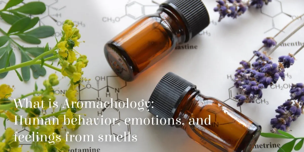 What is Aromachology